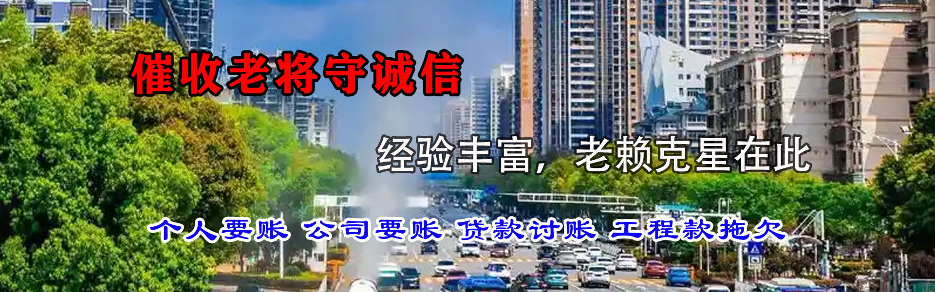 新干追数公司